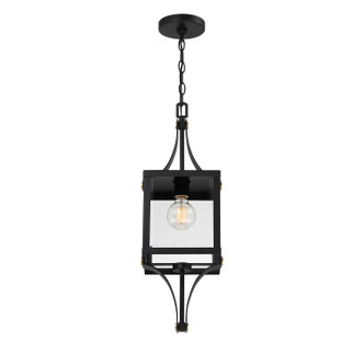 Raeburn One Light Outdoor Hanging Lantern (5-475-144)