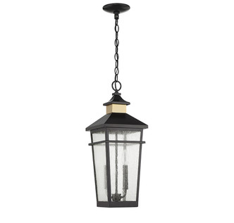 Kingsley Two Light Outdoor Hanging Lantern (5-717-143)