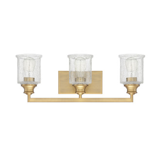Hampton Three Light Bath Bar (8-1972-3-322)