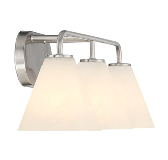 Blair Three Light Bathroom Vanity (8-2988-3-SN)