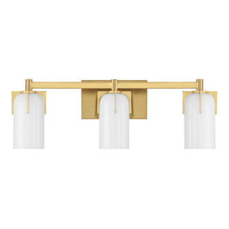 Caldwell Three Light Bathroom Vanity (8-4128-3-322)