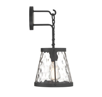 Crawford One Light Wall Sconce (9-1801-1-89)