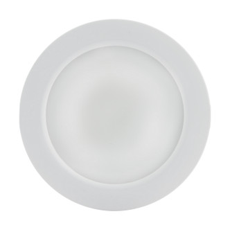 LED Downlight (S11261)