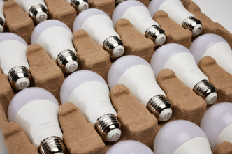 Light Bulb (S11448) Light Bulb (S11448)