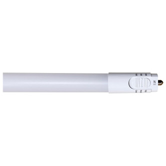 Light Bulb (S11752)