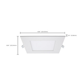 LED Downlight (S11831)