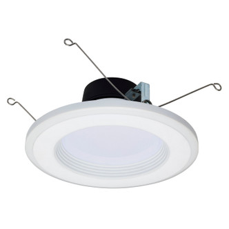 LED Downlight (S11846)
