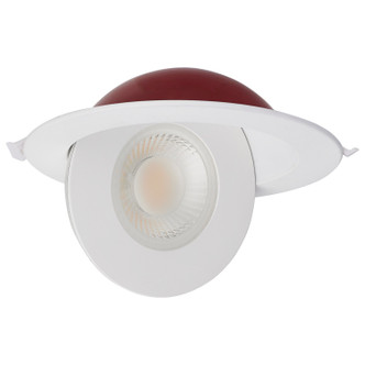 LED Downlight (S11881)