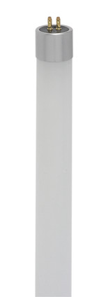 Light Bulb (S11904)