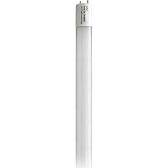 Light Bulb (S11961)