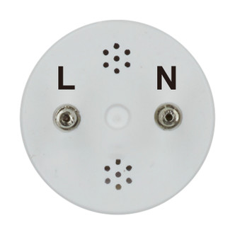 Light Bulb (S11962)