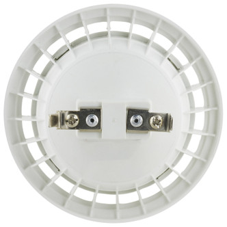 Light Bulb (S12246)