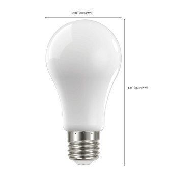 Light Bulb (S12433)