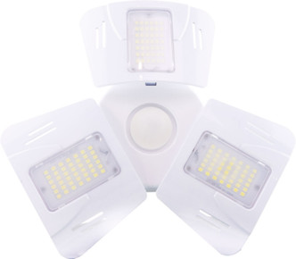 Light Bulb (S13118)