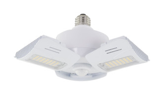 Light Bulb (S13119)