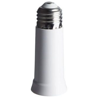 Light Bulb (S13146)