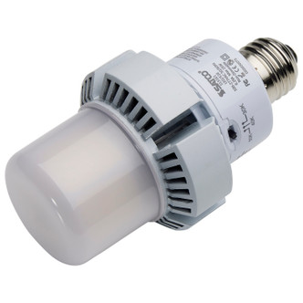Light Bulb (S13161)