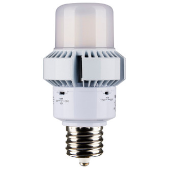 Light Bulb (S13163)