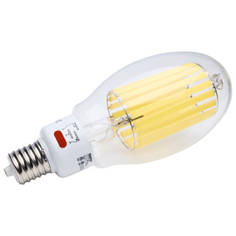 Light Bulb (S13197)