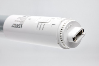 Light Bulb (S16443)
