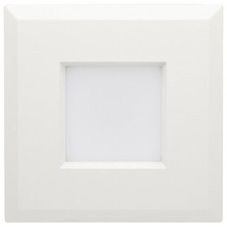 LED Downlight (S18802)