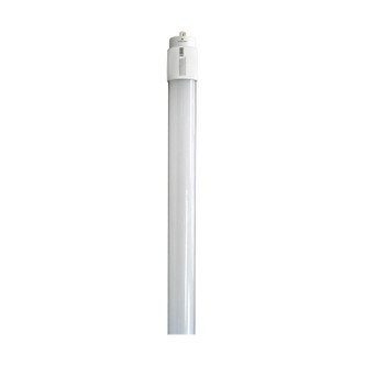 Light Bulb (S21925)