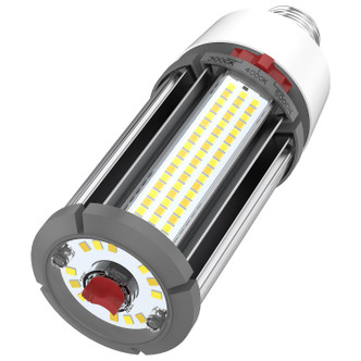 Light Bulb (S23151)
