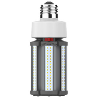 Satco - S23162 - Light Bulb - White Satco - S23162 - Light Bulb - White
