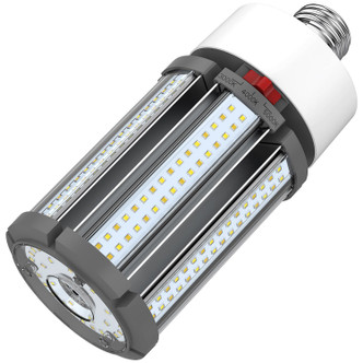 Light Bulb (S23162)