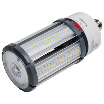 Light Bulb (S23163)