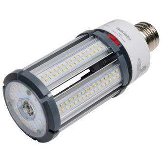 Light Bulb (S23164)