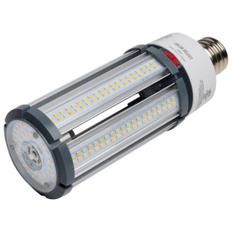 Light Bulb (S23166)