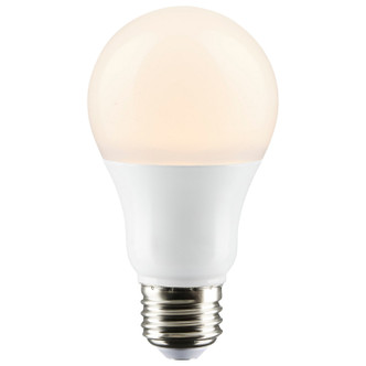Light Bulb (S28915)