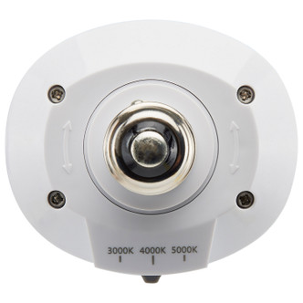 Light Bulb (S28928)