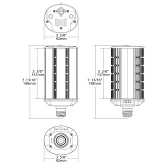 Light Bulb (S28929)