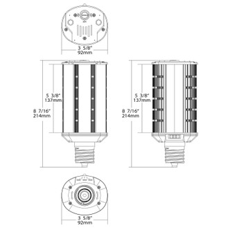 Light Bulb (S28930)