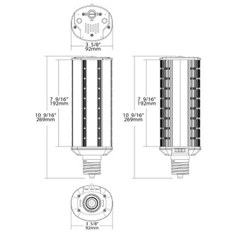 Light Bulb (S28987)