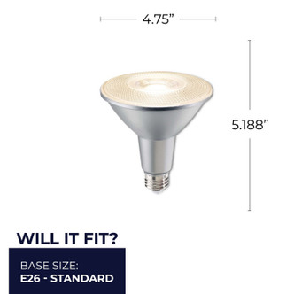 PARs Light Bulb (772302)