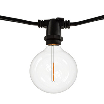 Bulbrite - 812123 - String Light - String - Black