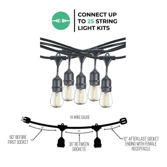 String String Light (812483)