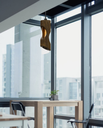 Zamora One Light Pendant (FX-3669-1P)