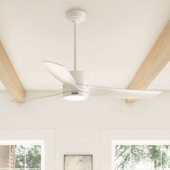Bolsa 60" Ceiling Fan (52876)