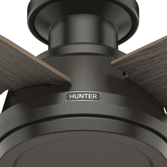 Dempsey 44" Ceiling Fan (59336)