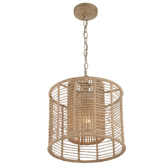 Jayna One Light Pendant (JAY-A5001-BS)