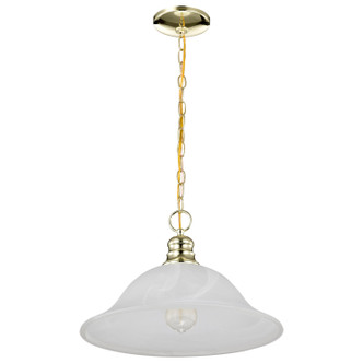 Alabaster Glass Hanging Dome One Light Pendant (60-392)