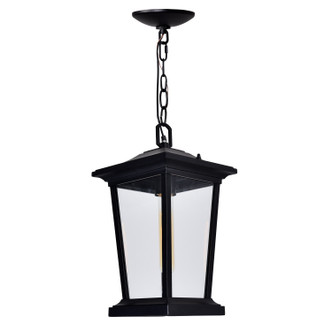 Leawood One Light Outdoor Hanging Pendant (0413P8-1-101) Leawood One Light Outdoor Hanging Pendant (0413P8-1-101)