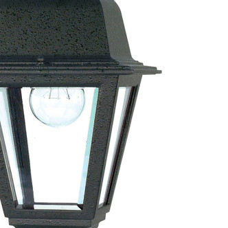 Briton One Light Hanging Lantern (60-489)