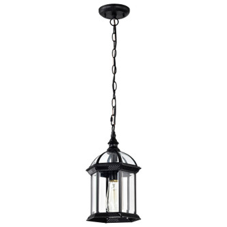 Boxwood One Light Hanging Lantern (60-4979)