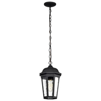 East River One Light Outdoor Hanging Lantern (60-5944)