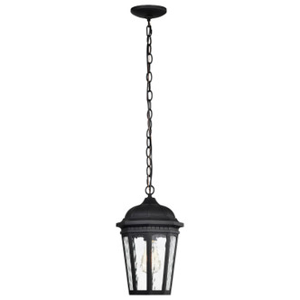 East River One Light Outdoor Hanging Lantern (60-5944)